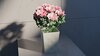 Stylized LowPoly Rose Bouquet design by Sarab