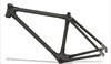 Carbon Fiber Bike design by cataling