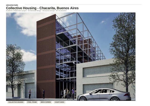 Collective Housing – Steel Frame & Brick Screen – image 2 of 5