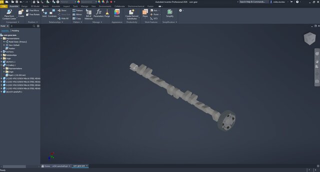 Camshaft and cam gear