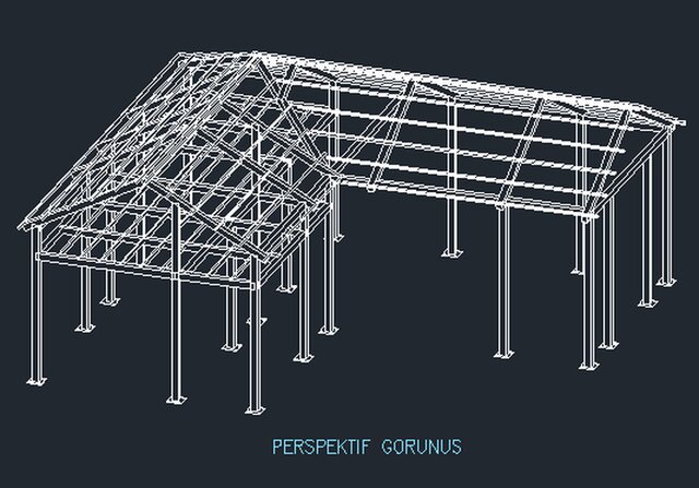 3D model of Residential Steel Structure & Roof – Tekla Detailing