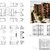 Architectural Plan & 3D Visualization