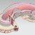 Complex Surface Mold Engineering; From 3D Scan (Reverse Engineering)