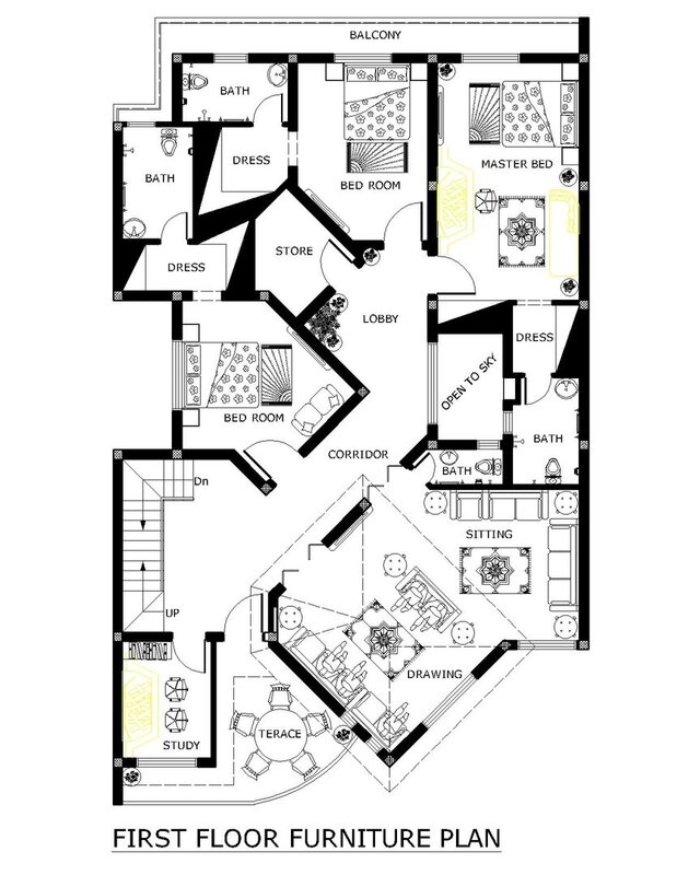 Grand Modern Diagonal House