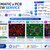 Schematic and PCB Design