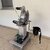 Modular Self-Aligning Hip Exoskeleton | Mechanical Design & CAD Assembly