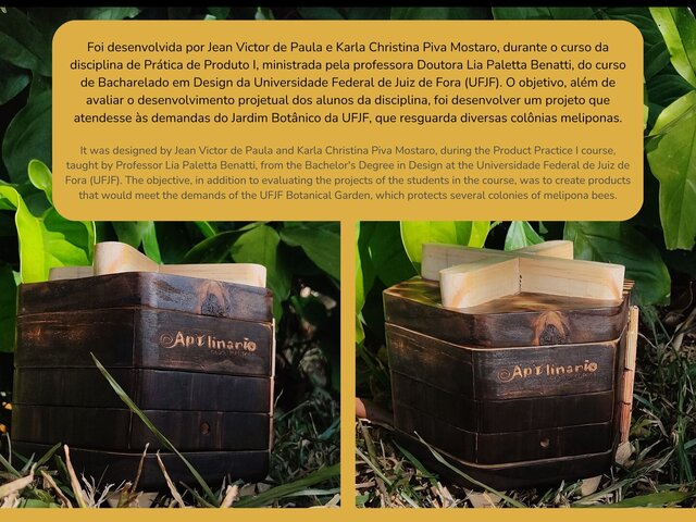 Apolinário: Stingless Bee Box – image 5 of 5