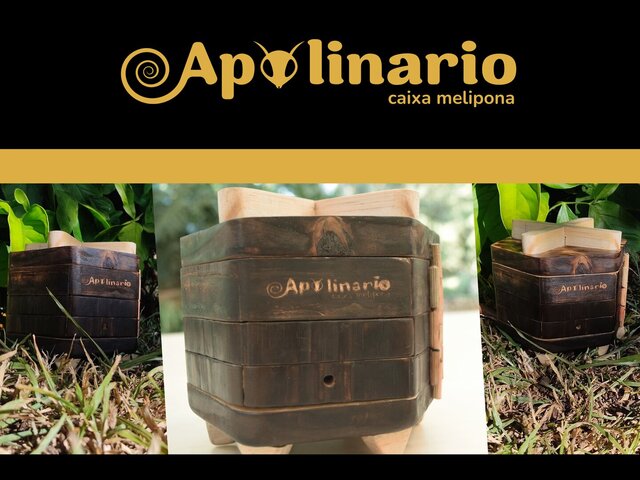 Apolinário: Stingless Bee Box – image 3 of 5