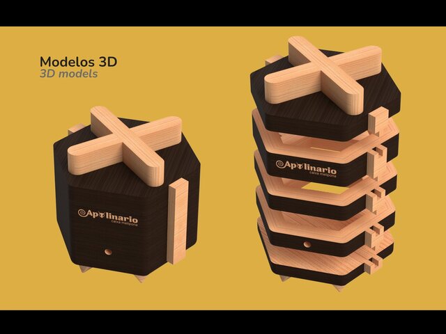 Apolinário: Stingless Bee Box – image 2 of 5