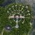 The Healing Centre, Ecuador