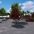 Aura Club Design