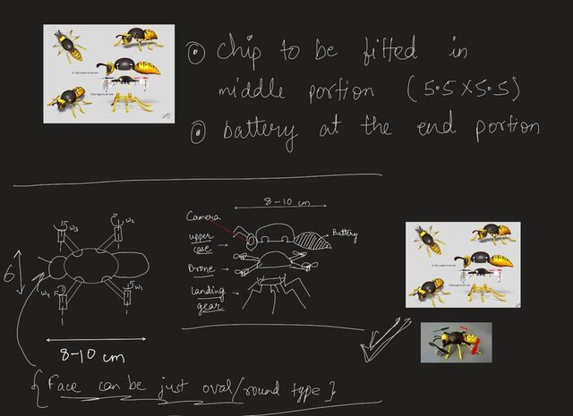 3D model of bee-drone