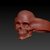 Skull Ring