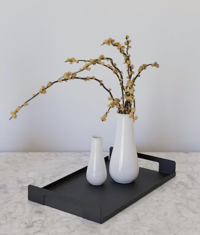 3D model of img_6784