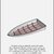 High Speed Boat Hull Design-Rhinoceros 3D