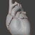 Anatomical Cardiac Model