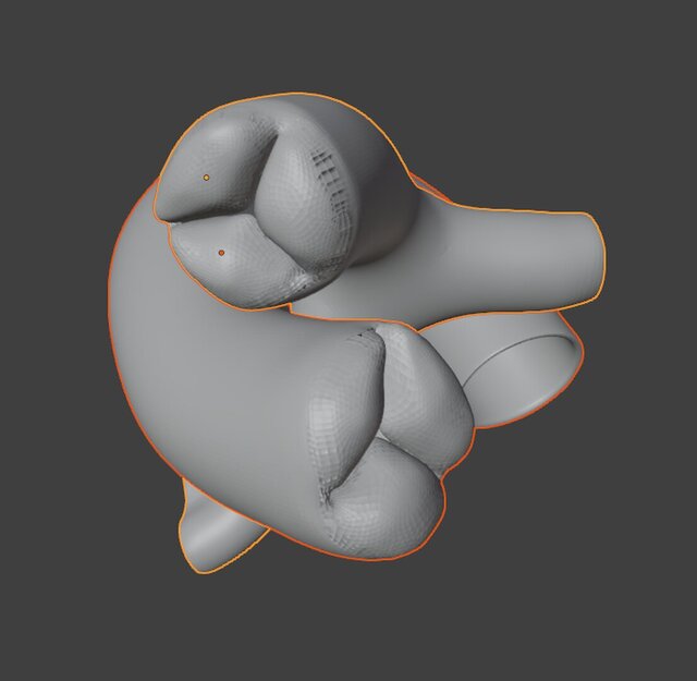 3D model of Anatomical Cardiac Model
