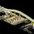 Industrial Conveyor Design – Scan-Based Engineering & 3D Modeling