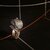 Advanced Jewelry CAD Design Collection