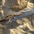 3D SWORD SAMPLES