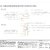 Rear Deck Design & Construction Drawings – AutoCAD