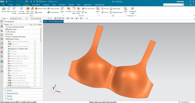 Fabric Mould (Bra Mould)