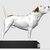 Animal (DOG) Sculpting