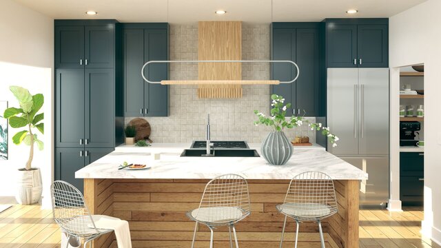 Modern Transitional Kitchen Visualization