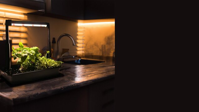 3D model of Ollie Noonan Designs