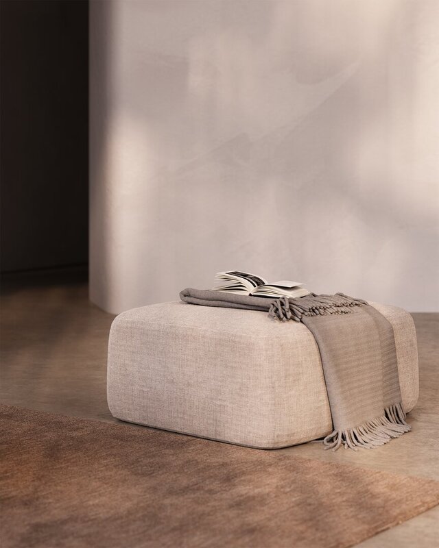 3D model of Interior Scene Sofa