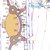 Full Geodetic Support for a Sports Park (3.5 ha / 34,915 m²) – Survey, Grading Design, Earthworks, Stormwater Drainage, and 3D Modeling