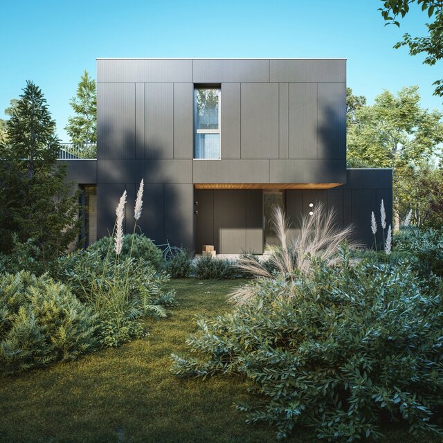 3D model of CS House - Architectural Conceptualization & Photorealistic Rendering