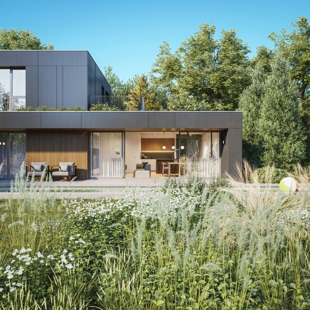 3D model of CS House - Architectural Conceptualization & Photorealistic Rendering