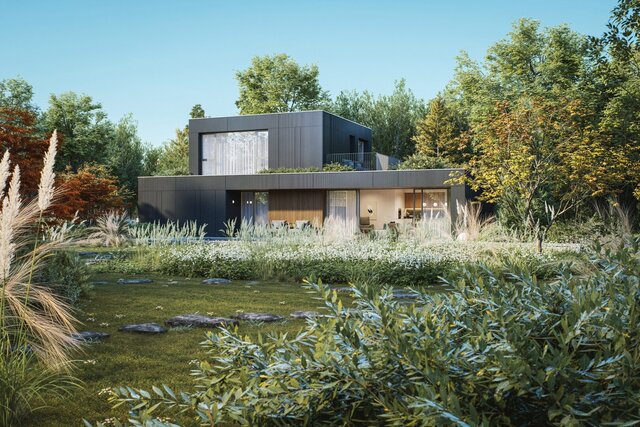 3D model of CS House - Architectural Conceptualization & Photorealistic Rendering
