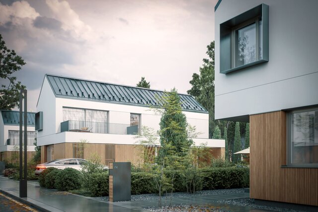 3D model of CT House - Architectural Conceptualization & Photorealistic Rendering