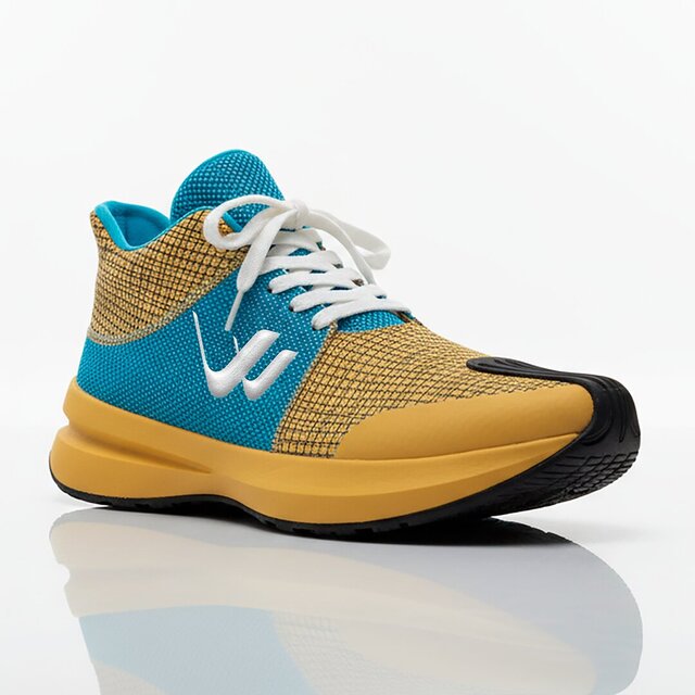 Conceptual Sneakers Design