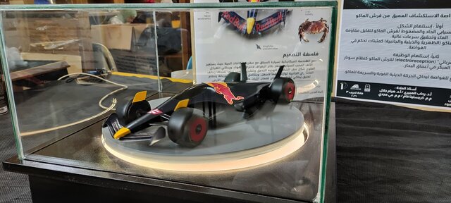 Red Bull F1-Inspired Concept Car — 1:10 Physical Prototype – image 8 of 8