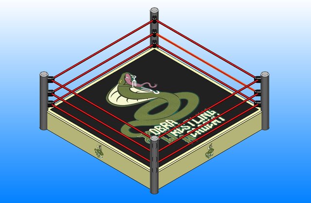 KWA Wrestling Ring Promo model