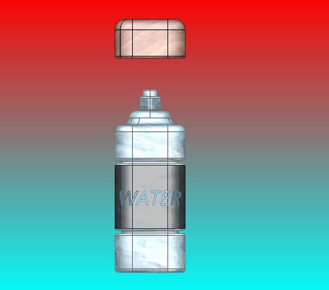 Custom Water Bottle Model