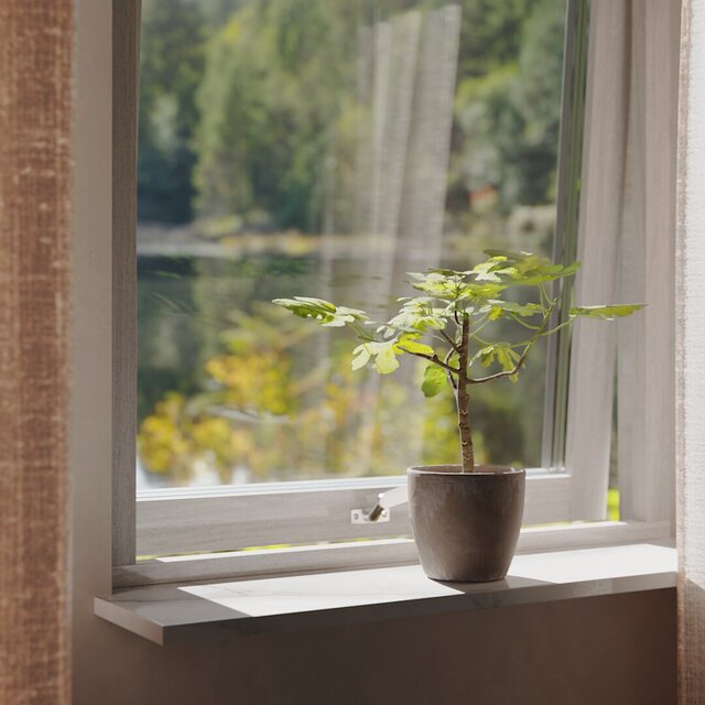 Scandinavian window with a fig