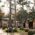 Glamping in forest