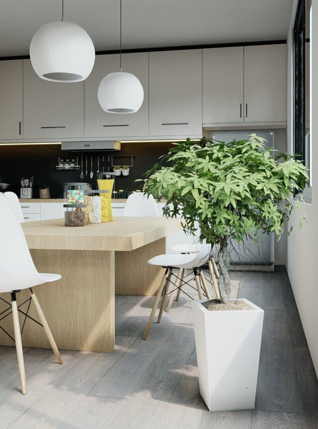 Modern white kitchen