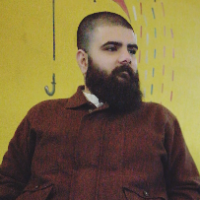 areebfarrukh