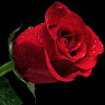 aminahb