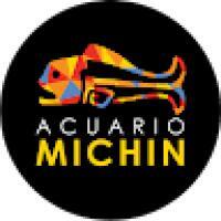 amichinp