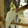 mahmouda7