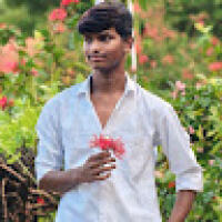 kullayeegaria