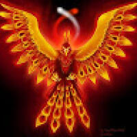 yesida
