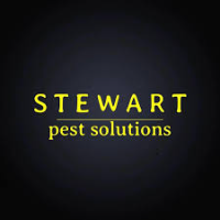 stewartpestsolutions
