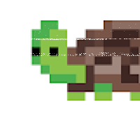 turtleg